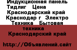 Индукционная панель Тидлиг › Цена ­ 12 000 - Краснодарский край, Краснодар г. Электро-Техника » Бытовая техника   . Краснодарский край